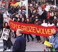 Stop de Grijze Wolven!