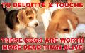 deloitte - puppykillers