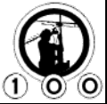 100 logo