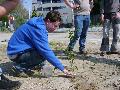 DWARS-ers zijn bezig met het planten van de boom