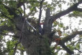 Eerste aanzet boomhutten