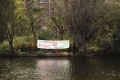 Spandoek op het eiland in de hofvijver