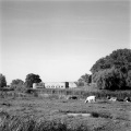 Fort Benoorden Spaarndam (Foto; Hubert Koekenberg)