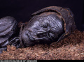 Tollund man: 1 van de foto's uit Digging Deeper