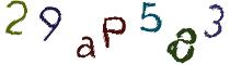 Beeld-CAPTCHA