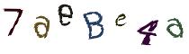 Beeld-CAPTCHA