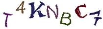 Beeld-CAPTCHA