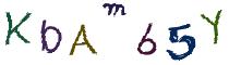 Beeld-CAPTCHA