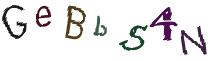 Beeld-CAPTCHA