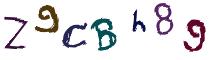 Beeld-CAPTCHA