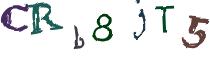 Beeld-CAPTCHA