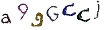 Beeld-CAPTCHA