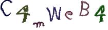 Beeld-CAPTCHA