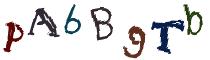 Beeld-CAPTCHA