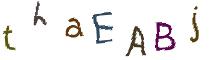 Beeld-CAPTCHA