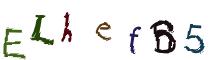 Beeld-CAPTCHA