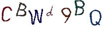 Beeld-CAPTCHA