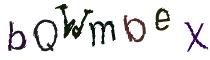 Beeld-CAPTCHA