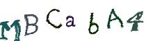 Beeld-CAPTCHA