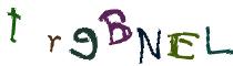 Beeld-CAPTCHA