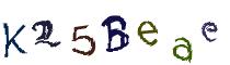 Beeld-CAPTCHA