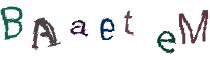 Beeld-CAPTCHA