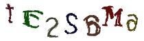 Beeld-CAPTCHA