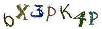 Beeld-CAPTCHA