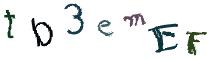 Beeld-CAPTCHA