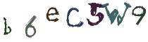 Beeld-CAPTCHA