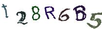 Beeld-CAPTCHA