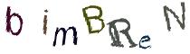 Beeld-CAPTCHA