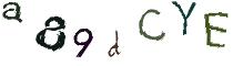 Beeld-CAPTCHA