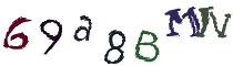 Beeld-CAPTCHA