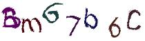 Beeld-CAPTCHA