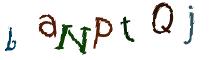 Beeld-CAPTCHA