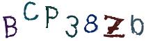 Beeld-CAPTCHA