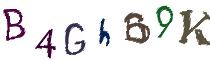 Beeld-CAPTCHA