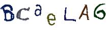 Beeld-CAPTCHA