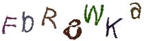 Beeld-CAPTCHA