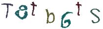 Beeld-CAPTCHA