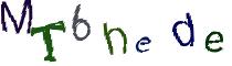 Beeld-CAPTCHA