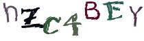 Beeld-CAPTCHA