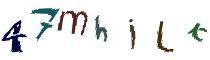 Beeld-CAPTCHA