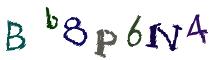 Beeld-CAPTCHA