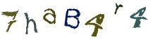 Beeld-CAPTCHA