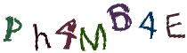 Beeld-CAPTCHA