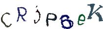 Beeld-CAPTCHA