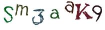 Beeld-CAPTCHA