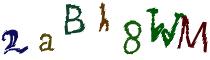 Beeld-CAPTCHA